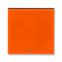 3559H-A00653 66 Kryt jednoduchý s čirým průzorem, oranžová/kouřová černá, ABB Levit